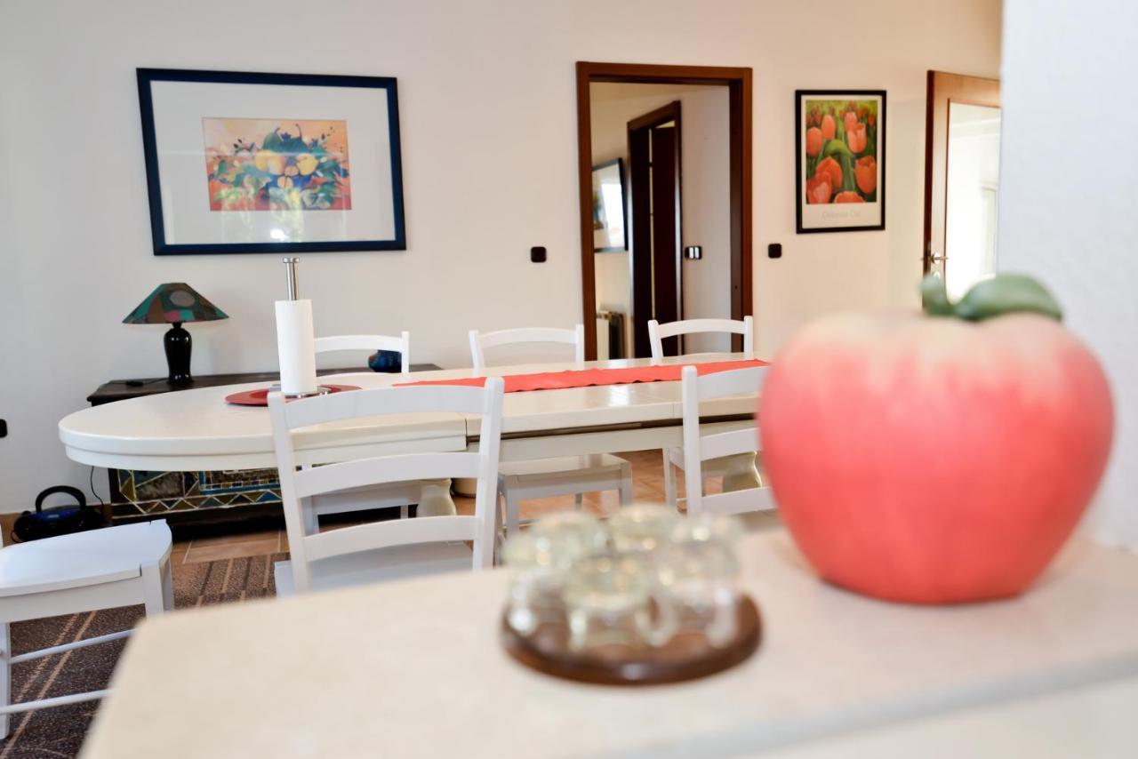 Apartmani Vidikovac Dokoza ซาดาร์ ภายนอก รูปภาพ